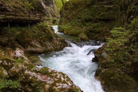 Vintgar Gorge or Bled Gorge is a 1.6 km long gorge in northwestern Slovenia. This natural nature reserve. The Vintgar Gorge is one of the most important tourist attractions in Slovenia.Tourism in Europe
