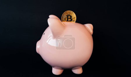 Cryptocurrency saving piggy bank financial banking concept on black background. Crypto bitcoin coin put into savings.