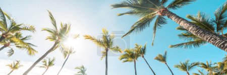 Sommer Strand Hintergrund Palmen vor blauem Himmel Banner-Panorama, tropische Karibik Reiseziel.