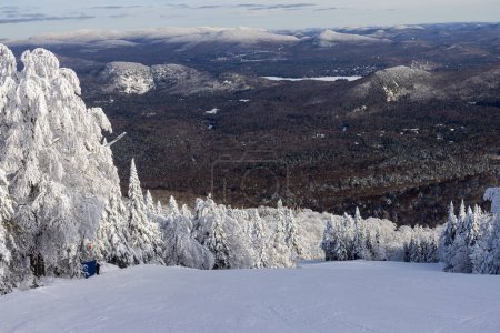 Mont Tremblant Pays des Merveilles hivernales Majesté : Une vue imprenable sur les pins enneigés et les pistes de ski, offrant une évasion hivernale parfaite. Laurentides, Québec, Canada.