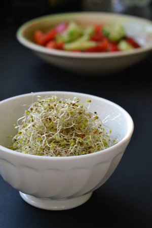 Foto de Un tazón de brotes de alfalfa y un tazón de ensalada de verduras sobre un fondo gris. Nutrición saludable. - Imagen libre de derechos