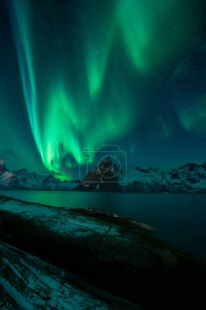 Foto de Northern lights or Aurora Borealis over Lofoten Islands in Northern Norway (en inglés). Foto de alta calidad - Imagen libre de derechos
