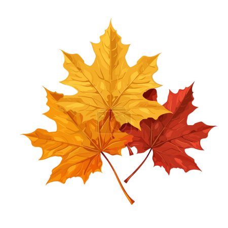 Ilustración de Hojas de otoño aisladas sobre fondo blanco. Hoja de arce. Ilustración vectorial EPS10 - Imagen libre de derechos