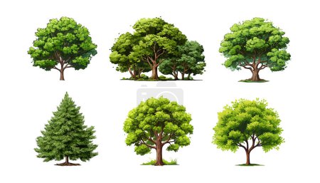 Photo for Collection cartoon Trees Isolated on White Background. Vector flat set illustration agricultural garden and nature park plant. Flat forest flora - Royalty Free Image