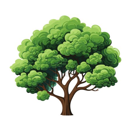 Illustration for Cartoon realistic Tree Isolated on White Background. Cute green plant, forest. Can be used to illustrate any nature or healthy lifestyle topic. - Royalty Free Image