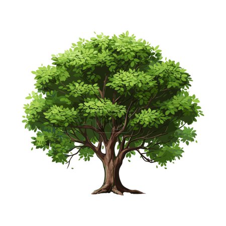 Cartoon realistic Tree Isolated on White Background. Cute green plant, forest. Can be used to illustrate any nature or healthy lifestyle topic.