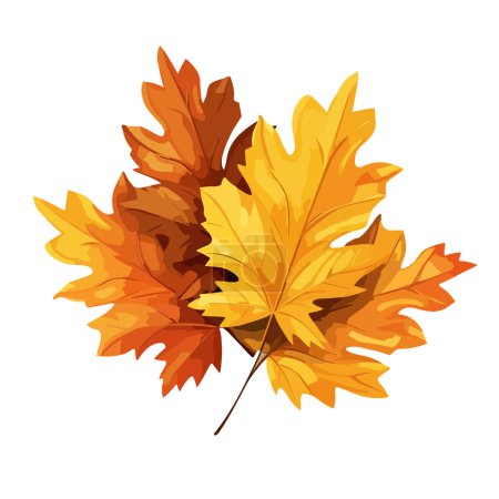 Ilustración de Hojas de otoño aisladas sobre fondo blanco. Hoja de arce. Ilustración vectorial EPS10 - Imagen libre de derechos
