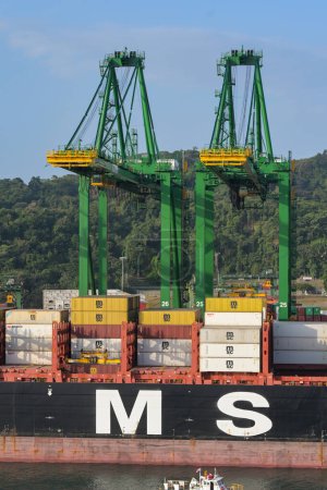 Foto de Ciudad de Panamá, Panamá - 23 de enero de 2024: Grúas descargando un buque portacontenedores MSC atracado en el puerto de Ciudad de Panamá - Imagen libre de derechos