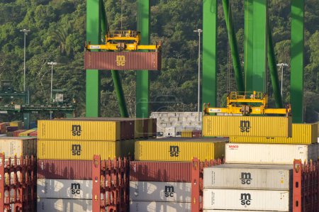 Foto de Ciudad de Panamá, Panamá - 23 de enero de 2024: Grúas que levantan contenedores de un buque portacontenedores MSC atracado en el puerto de Ciudad de Panamá - Imagen libre de derechos