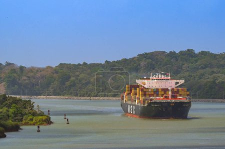 Photo for Panama Canal, Panama - 23 January 2024: Container ship MSC Amalfi sailing around a bend on the Panama Canal - Royalty Free Image