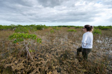Foto de Senderismo húmedo de mujer en el bosque de manglares enanos en el Parque Nacional Everglades, Florida en diciembre. - Imagen libre de derechos