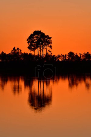 Bright orange sunset reflected in calm water of Pine Glades Lake in Everglades National Park, Florida.