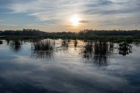 Errichtete Feuchtgebiete des Green Cay Nature Center in Boynton Beach, Florida bei Sonnenaufgang an einem ruhigen Wintermorgen.