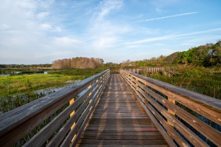 Boardwalk and sunrise cloudscape over constructed wetlands of Green Cay Nature Center in Boynton Beach, Florida..