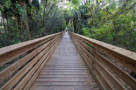 Promenade sur les zones humides construites de Green Cay Nature Center à Boynton Beach, Floride au petit matin..