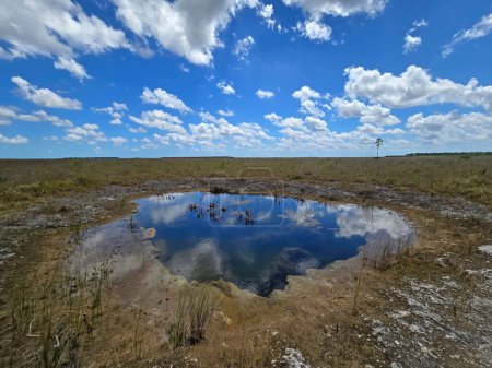 Soleado paisaje nublado de verano sobre el agujero de la solución en el Parque Nacional Everglades, Florida reflejado en aguas tranquilas.