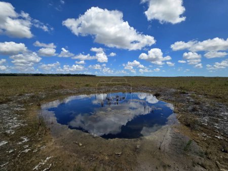 Soleado paisaje nublado de verano sobre el agujero de la solución en el Parque Nacional Everglades, Florida reflejado en aguas tranquilas.