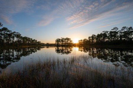 Tranquil sunset reflected in calm water of lake at Long Pine Key in Everglades National Park, Florida.