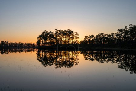 Atardecer tranquilo reflejado en el agua tranquila del lago en Long Pine Key en el Parque Nacional Everglades, Florida.