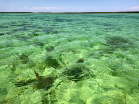 Klares Wasser im Biscayne National Park, Florida an einem klaren, sonnigen Sommernachmittag.