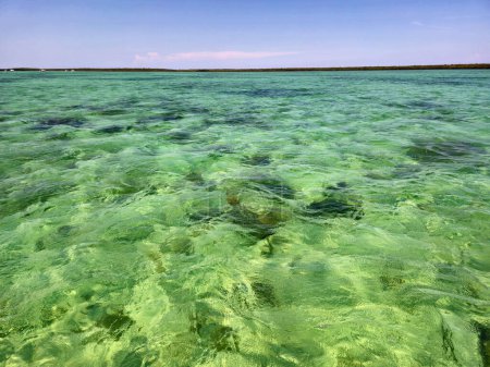 Clear waters of Biscayne National Park, Florida on clear sunny summer afternoon.