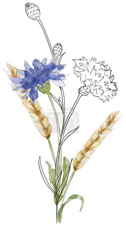 Watercolor hand painted meadow florals bouquet illustration, liner sketch wildflowers clipart, blue field flowers composition