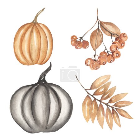 Watercolor hand drawn Halloween black pumpkin and florals clipart set,  beige leaves branch and berries illustration, autumn harvest time