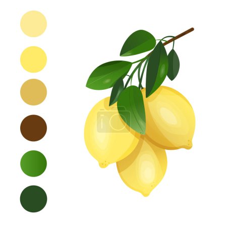 Ilustración de rama de limón, Dibujado a mano Tropical Yellow Fruit Clip art, Impresión floral botánica, Arte de pared de cocina, Invitación de boda, Diseño de logotipo, fabricación de tarjetas