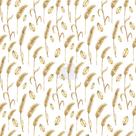 Watercolor wheat seamless pattern, nature  with plants repeat paper, field plant textile background