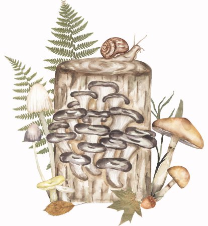 Oyster fungi with other mushrooms and real fern leaves composition, fungus and autumn real leaves illustration. Hand drawn watercolor mushroom 