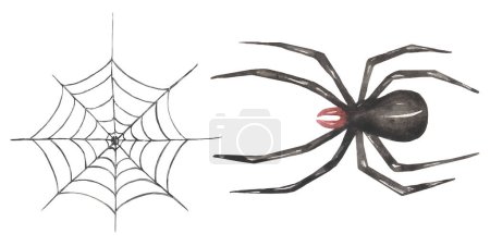 Clipart de Halloween, Conjunto de ilustración espeluznante de acuarela, Araña negra y clip de araña, Fiesta de miedo de caída de niños
