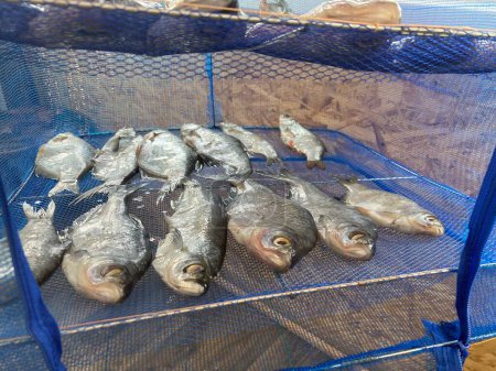 Trocknen von gesalzenem Fisch für die Ruckigen