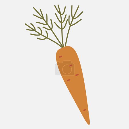 Illustration for Carrot icon in a flat design on a white background. Vector illustration. Cartoon style vegetable for Logo, Grocery banner, Flyer. Nutrition, Vitamin, Organic food concept. Autumn harvest - Royalty Free Image