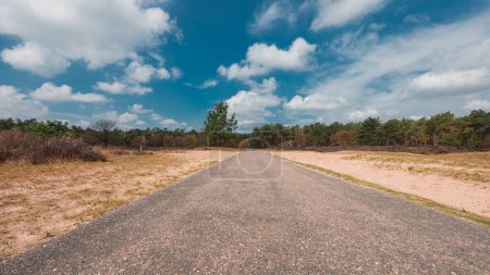 Foto de Un camino de asfalto que conduce al horizonte, bajo un cielo azul con nubes, en el Parque Nacional Loonse y Drunense Duinen - Imagen libre de derechos