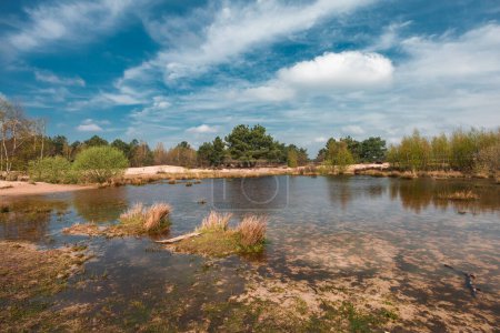 Foto de Un lago rodeado de hierba seca y árboles en el Parque Nacional Loonse y Drunense Duinen - Imagen libre de derechos