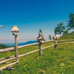 Old Wooden Fence and Meadows in Velika Planina, Slovenia