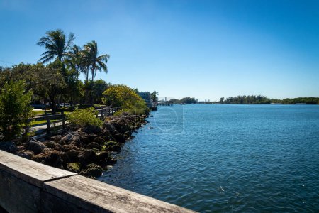 Téléchargez les photos : Seagull standing on the pier at Stranahan river Hollywood Florida - en image libre de droit