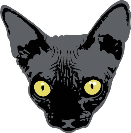 Photo for Black hairless sphynx cat breed head illustration vector - Royalty Free Image
