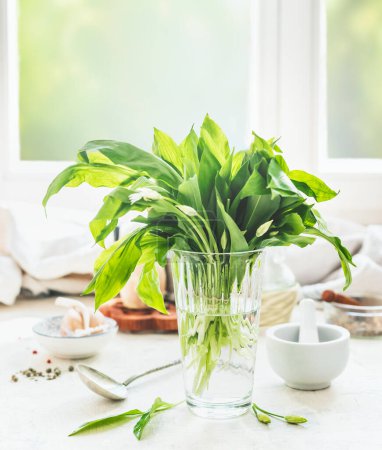 Photo for Wild garlic bunch in glass with water on white sunny kitchen tables at window background. Seasonal home cuisine. Vegan food. Healthy cooking and eating. Springtime recipes. Storage - Royalty Free Image
