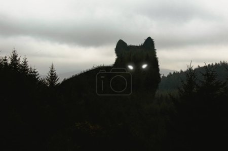 Téléchargez les photos : Une silhouette d'un loup géant aux yeux brillants. Debout au-dessus d'une forêt d'arbres d'hiver. - en image libre de droit