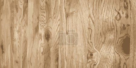 Oak panel. Oak board. Oak texture. Vector illustration