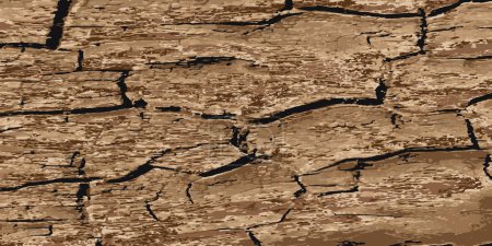 Illustration for Rotting old wood. Texture of aged rotten wood. Vector illustration - Royalty Free Image