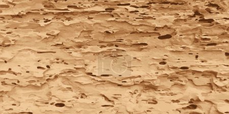 Round wood eaten by insects. Texture of rotten aged wood. Vector illustration