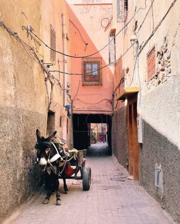 burro y carro en las pequeñas calles de Marrakech, Marruecos
