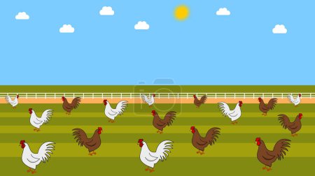 Illustration for Illustration of white and brown chickens in a barnyard with beautiful blue sky - Royalty Free Image
