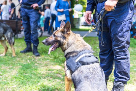 Oficial de policía en uniforme de guardia con un perro pastor alemán canino K9 durante el evento público. Personas borrosas en el fondo.