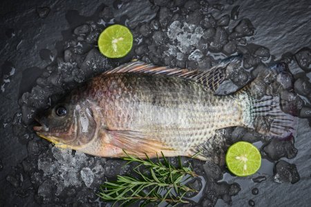 Frischer roher Tilapia-Fisch aus der Tilapia-Farm, Tilapia mit Eis auf dunklem Hintergrund - Draufsicht