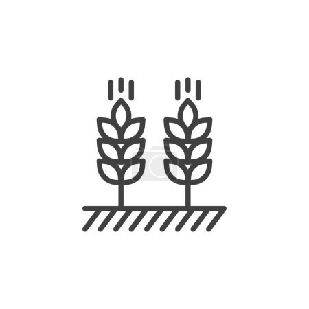 Weizenohren reihen sich aneinander. Lineares Stilschild für mobiles Konzept und Webdesign. Ähren aus Weizen umreißen das Vektorsymbol. Feldfrüchte-Symbol, Logo-Illustration. Vektorgrafik