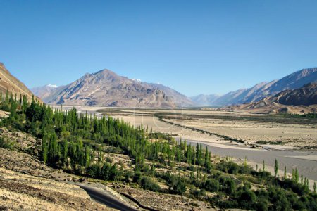 Photo for Mountains, Shyok river and green trees with blue sky background on way to Diskit in Nubra valley, Leh. - Royalty Free Image
