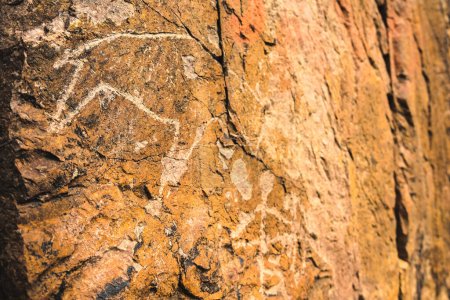 Téléchargez les photos : Gravures archéologiques sur roche d'animaux. Les pétroglyphes sur les pierres se rapprochent. - en image libre de droit